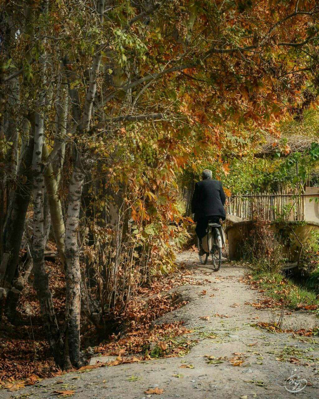 دوچرخه سواری در پاییز